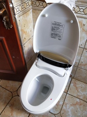 如何评价法恩莎智能马桶怎么样,好不好用?法恩莎马桶容易堵吗?