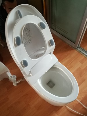 如何评价法恩莎智能马桶怎么样,好不好用?法恩莎马桶容易堵吗?