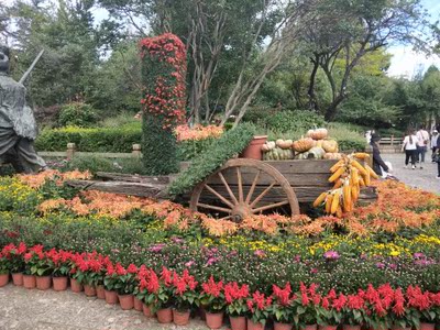 偏小，但是胜在颜值吧，算是好看吧！做活动的话，价格性价比算还行，日常价格的有点货次价高了