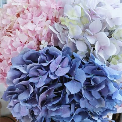 挺好的。虽然不聚拢，但是也没有特别外扩的感觉。