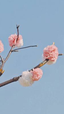 东西挺好的，但是相较之下我还是更喜欢运动内衣和无钢圈内衣，感觉会更加舒适。东西挺好的，但是相较之下我还是更喜欢运动内衣和无钢圈内衣，感觉会更加舒适。东西挺好的，但是相较之下我还是更喜欢运动内衣和无钢圈内衣，感觉会更加舒适。东西挺好的，但是相较之下我还是更喜欢运动内衣和无钢圈内衣，感觉会更加舒适。东西挺好的，但是相较之下我还是更喜欢运动内衣和无钢圈内衣，感觉会更加舒适。东西挺好的，但是相较之下我还是更喜欢运动内衣和无钢圈内衣，感觉会更加舒适。东西挺好的，但是相较之下我还是更喜欢运动内衣和无钢圈内衣，感觉会更加舒适。东西挺好的，但是相较之下我还是更喜欢运动内衣和无钢圈内衣，感觉会更加舒适。