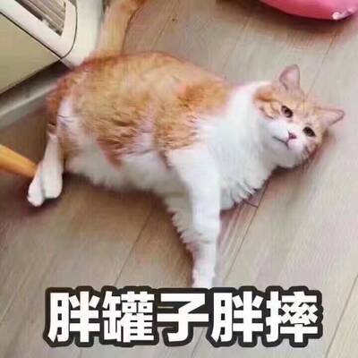 时间总能证明我们的相遇是对的，是值得的。不早不晚，恰是适时遇见的时候。于是我驻足不前，等待着这个宝贝给你的期待，时间不会辜负等待。这个世界，拥有爱的唯一方法是以真心换真心。那些甜言蜜语，名利财富以及虚无的承诺，都敌不过一份深刻肯定。简单而平凡话语足以温暖一整个冬天。我现在一定是嘴角上扬，深深的小酒窝浮在脸颊上。那么美好的笑容，一定是收到这个宝贝让我不自觉的油然而生的。已收藏店铺哦~愿看见这条评价的亲天天开心，好事相随~