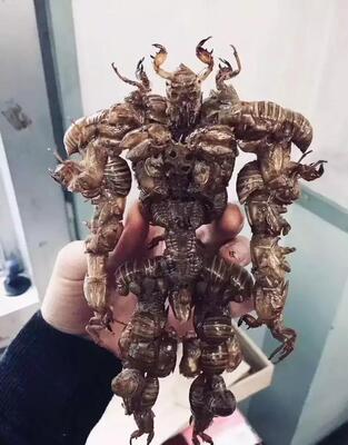 质量非常好，与卖家描述的完全一致，非常满意,真的很喜欢，完全超出期望值，发货速度非常快，包装非常仔细、严实，物流公司服务态度很好，运送速度很快，很满意的一次购物