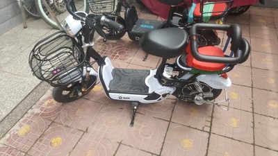 48V新款思帝诺电动车成人电动自行车男女性电瓶车小型锂电代步车