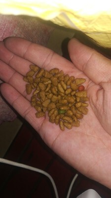 牧康乐猫粮咋样,评论有作假吗牧康乐猫粮用后果真相如何,质量怎么样,