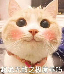 给家人买的，很不错。麻麻挺满意的。