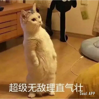 内衣穿起来感觉很轻盈，很舒服 