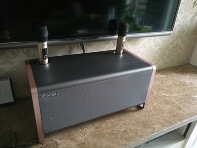 火爆的山水音响怎么样，山水音响哪个型号好，音质效果好吗