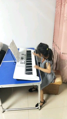 吐槽爱尔科电子琴怎么样，真相如何,看过才知