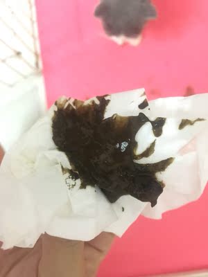 皇家猫粮小白求证皇家猫粮用后感觉如何,值得买吗,