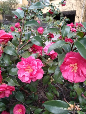 当大家看到我的这一篇评价时，表示我对产品是认可的，尽管我此刻的评论是复制粘贴的。这一方面是为了肯定商家的服务，另一方面是为了节省自己的时间，因为差评我会直接说为什么的。所以大家就当做是产品质量合格的意思来看就行了。最后祝店家越做越好，大家幸福平安，中华民族繁荣昌盛。