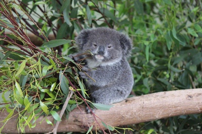 不错价格好   性价比高