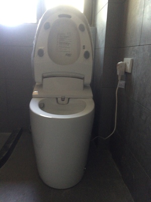 求助!德希顿智能马桶怎么样,属于什么档次,哪生产的,值得买吗