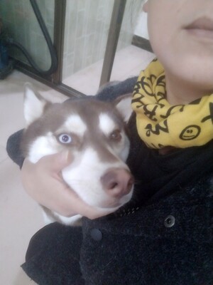 此用户没有填写评价。