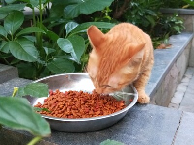 一如既往地好 我觉得很好我觉得很好我觉得很好我觉得很好觉得很好我觉得很好我觉得很好我觉得很好觉得很好我觉得很好我觉得很好我觉得很好觉得很好我觉得很好我觉得很好我觉得很好觉得很好我觉得很好我觉得很好我觉得很好觉得很好我觉得很好我觉得很好我觉得很好觉得很好我觉得很好我觉得很好我觉得很好觉得很好我觉得很好我觉得很好