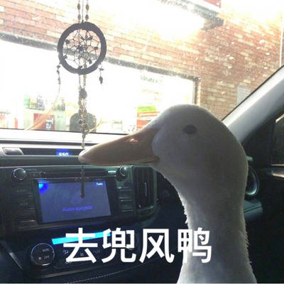 不仅尺码合适，还送了透明肩带，好评！