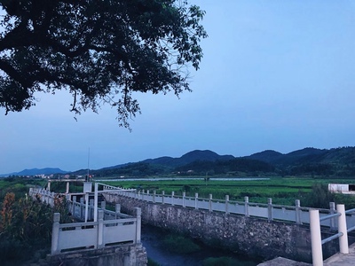 根据中办、国办印发的《国税地税征管体制改革方案》,从2019年1月1日起,将基本养老保险费、基本医疗保险费、失业保险费、工伤保险费、生育保险费等各项社会保险费交由税务部门统一征收。 根据中办、国办印发的《国税地税征管体制改革方案》,从2019年1月1日起,将基本养老保险费、基本医疗保险费、失业保险费、工伤保险费、生育保险费等各项社会保险费交由税务部门统一征收。