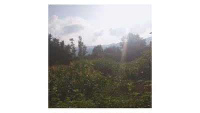 衣服不错 给朋友买的很适合 夏天穿也很凉快舒适 客服态度很好 物流也很快 性价比高衣服真的很nice~