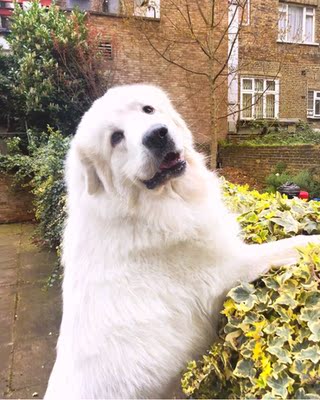 数不清是第几次回购了,子墨家的衣衣都可以闭眼入。这件穿着很舒服! 数不清是第几次回购了,子墨家的衣衣都可以闭眼入。这件穿着很舒服!