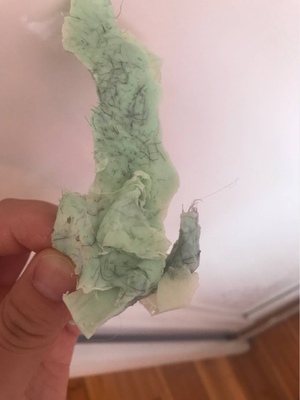 非常好用，图片可能引起不适，上次脱完1个月才长出来。希望一次比一次持久，新长的毛也很细软，脱毛很会了，不怎么疼，不懂的可以问菲妈，会教会为止