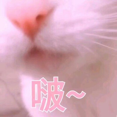 买了好多次，很优惠，质量也很好，内衣看起来还不错，朋友都说好看