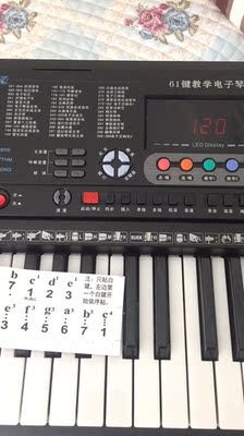 【揭秘】永美电子琴怎么样，真相如何,看过才知