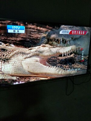 TCL D43A810 43英寸高清智能WIFI网络安卓平板LED液晶电视机42