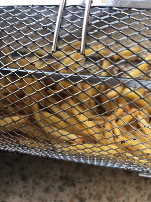 如何评价利仁空气炸锅怎么样,曝光了是真假,通过三个月使用看真相