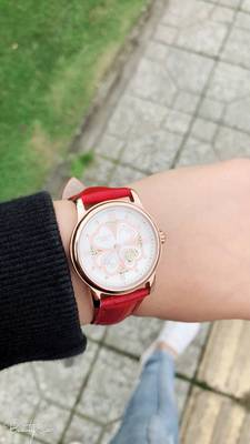 【揭秘】亚铂尼手表怎么样,是什么档次的?这个表真的是名牌表吗