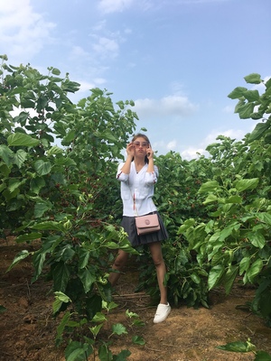 对应标题 对应标题