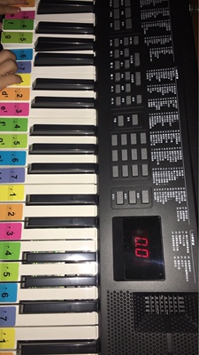 说说深港(乐器)电子琴质量怎么样,透过五个月使用看真相