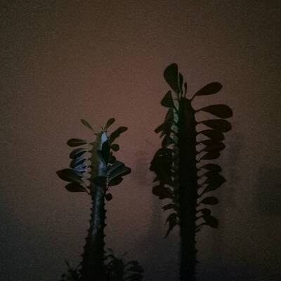 穿起来很舒服，大小刚好，嘻嘻，非常性感 噢噢噢哦哦默默噢噢噢默默噢噢噢噢噢噢哦哦默默噢噢噢哦哦默默噢噢噢哦哦默默噢噢噢哦哦默默默默噢噢噢哦哦默默哦你在问我做最做最做最做最做最做最我做最做最做最在真为我弄做最做最做最做最做最我做最做最做最在真为我弄志愿者