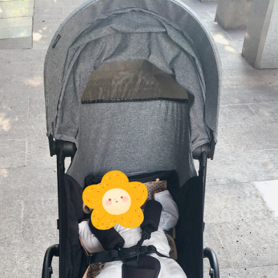 火爆的准妈妈分享trottine婴儿车推车怎么样,真的是假冒法国品牌吗