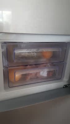 TCL BCD-205TF1205升冰箱三门家用小型双门电冰箱三开门节能静音