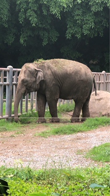 奶粉质地: 细腻 消化: 正常 有效期: 2年 外包装: 完好 收货时长: 4 总结: 交易成功后，我的心情竟是久久不能平静。自古英雄出少年，卖家年纪轻轻，就有经天纬地之才，定国安邦之智，而今，天佑我大中华，沧海桑田5000年，神州平地一声雷，飞沙走石，大雾迷天，朦胧中，只见顶天立地一金甲天神立于天地间，花见花开，人见人爱，这人英雄手持双斧，二目如电，一斧下去，混沌初开，二斧下去，女娲造人，三斧下去，小生倾倒。得此大英雄，实乃国之幸也，民之福，人之初也，怎不叫人喜极而泣 .......看着交易成功，我竟产生出一种无以名之的悲痛感&mdash;&mdash;啊，这么好的卖家，如果将来我再也遇不到了，那我该怎么办？直到我毫不犹豫地把卖家的店收藏了，我内心的那种激动才逐渐平静下来。可是我立刻想到，这么好的卖家，倘若别人看不到，那么不是浪费心血吗？经过痛苦的思想斗争，我终于下定决心，牺牲小我，奉献大我。我要以此评价奉献给世人赏阅。