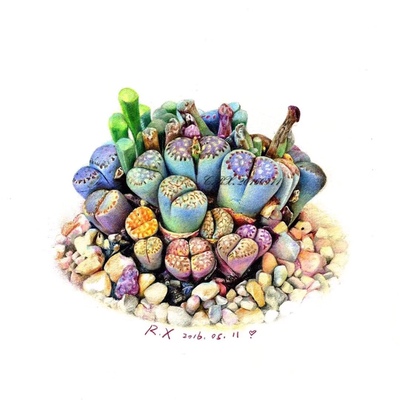 特意穿了来评价、这个颜色好看、穿着也还行