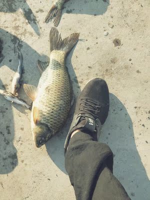 让保罗钓竿口碑行吗,质量怎么样,让保罗钓竿怎么样,让保罗质量真的很好吗?