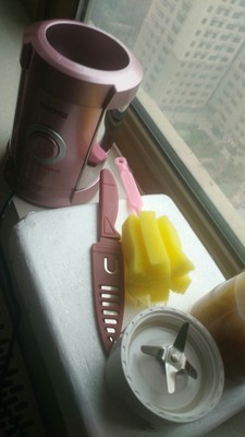 雪尔惠果汁机质量靠谱吗,质量怎么样,雪尔惠果汁机怎么样，质量很差是真的吗