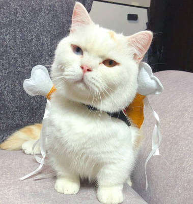 此用户没有填写评价。