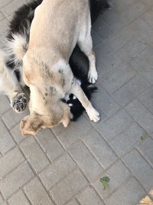 系统默认评论 系统默认评论