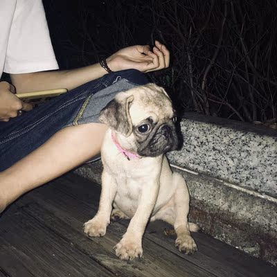 火爆的喂狗狗利美狗粮怎么样，质量好不好？真的是天然粮吗？