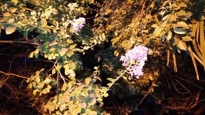 质量不错，当时在店里拆开，同事一看到立马让我又购买一组，看到质量和店铺18块的一条差不多