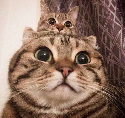 有点压胸，小了点