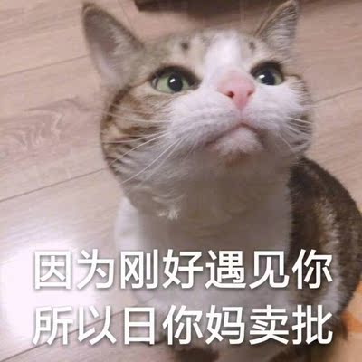 质量非常好，与卖家描述的完全一致，非常满意,真的很喜欢，完全超出期望值，发货速度非常快，包装非常仔细、严实，物流公司服务态度很好，运送速度很快，很满意的一次购物