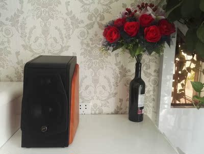 解说Polkaudio/普乐之声MAGMAX SR回音壁电视音响怎么样,高档吗?