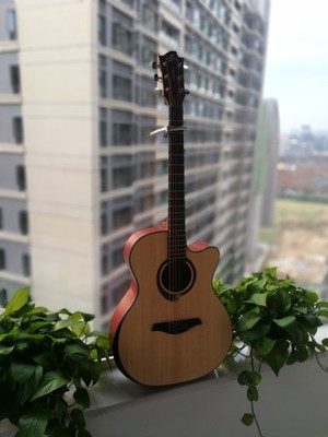 说说Sevinia塞维尼亚吉他怎么样，好不好用？这个是什么牌子的？