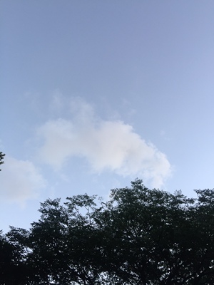 当大家看到我的这一篇评价时，表示我对产品是认可的，尽管我此刻的评论是复制粘贴的。这一方面是为了肯定商家的服务，另一方面是为了节省自己的时间，因为差评我会直接说为什么的。所以大家就当做是产品质量合格的意思来看就行了。最后祝店家越做越好，大家幸福平安，中华民族繁荣昌盛。