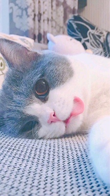 淘宝几年才知道原来评论85个字才会有积分。所以从今天到以后,这段话走到哪里就会复制到哪里。首先要保证质量啊,东西不赖啊。不然就用别的话来评论了。不知道这样子够不够85字。谢谢老板的认真检查。东西特别好,我不是刷评论的,我是觉得东西好我才买的,你会发现我每一家都是这么写的。因为复制一下就好了。 淘宝几年才知道原来评论85个字才会有积分。所以从今天到以后,这段话走到哪里就会复制到哪里。首先要保证质量啊,东西不赖啊。不然就用别的话来评论了。不知道这样子够不够85字。谢谢老板的认真检查。东西特别好,我不是刷评论的,我是觉得东西好我才买的,你会发现我每一家都是这么写的。因为复制一下就好了。