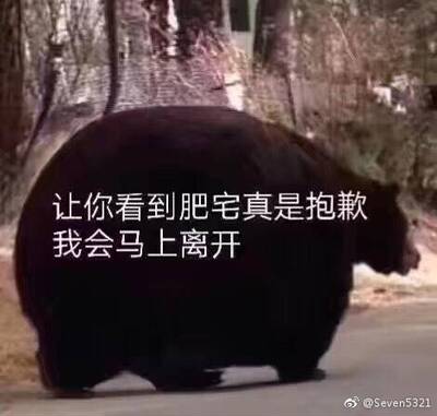 好好好好好好好好好好好好好好好好好好好好