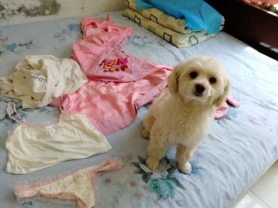 太好看了吧。简直不能再喜欢了。物流超级快，我对于自己心心念的东西真的是度日如年啊。料子摸着很舒服，我的少女心啊。太美了。穿着也凉快，这个颜色很适合白皮或者直接巧克力肤穿。超级性感。准备再买一套送给闺蜜。哈哈。要做sexy的小公举啦，这个夏天一起妹妹的好了～宝宝 嗨起来😁